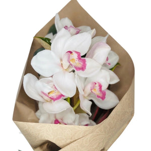 Stunning Orchid