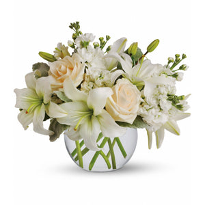 Pearly White - Victoriana Florist Upper Hutt