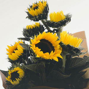 Bouquets & Cut Flowers