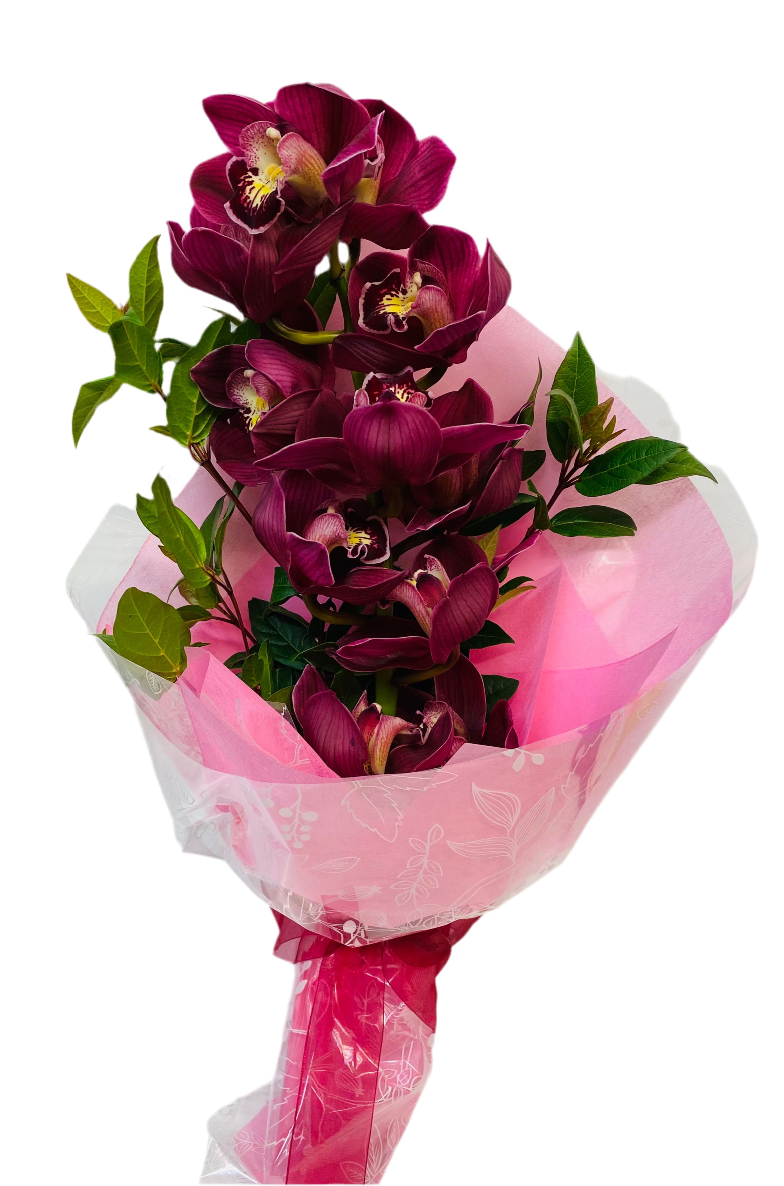 The Cymbidium Orchid Secondary image