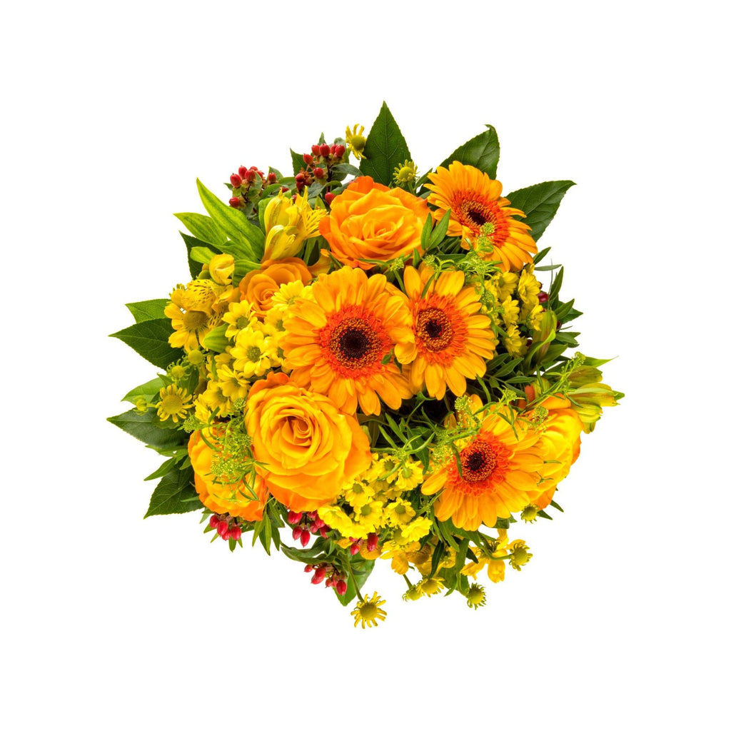 Miss Citrus