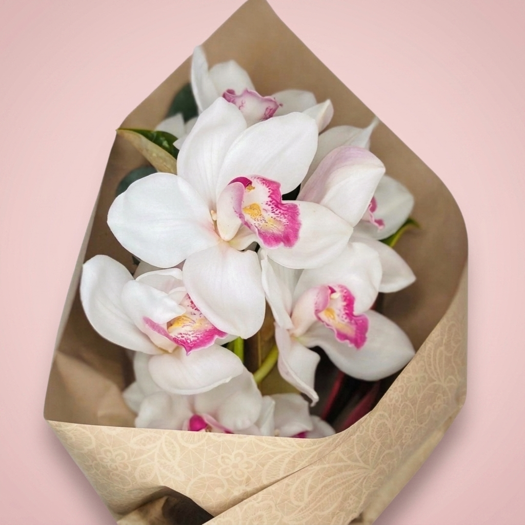 Single stem cymbidium orchid gift wrapped by Victoriana Florist, Upper Hutt Main image