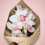 Single stem cymbidium orchid gift wrapped by Victoriana Florist, Upper Hutt