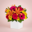 Bright mixed blooms arranged in a gift box by Victoriana Florist