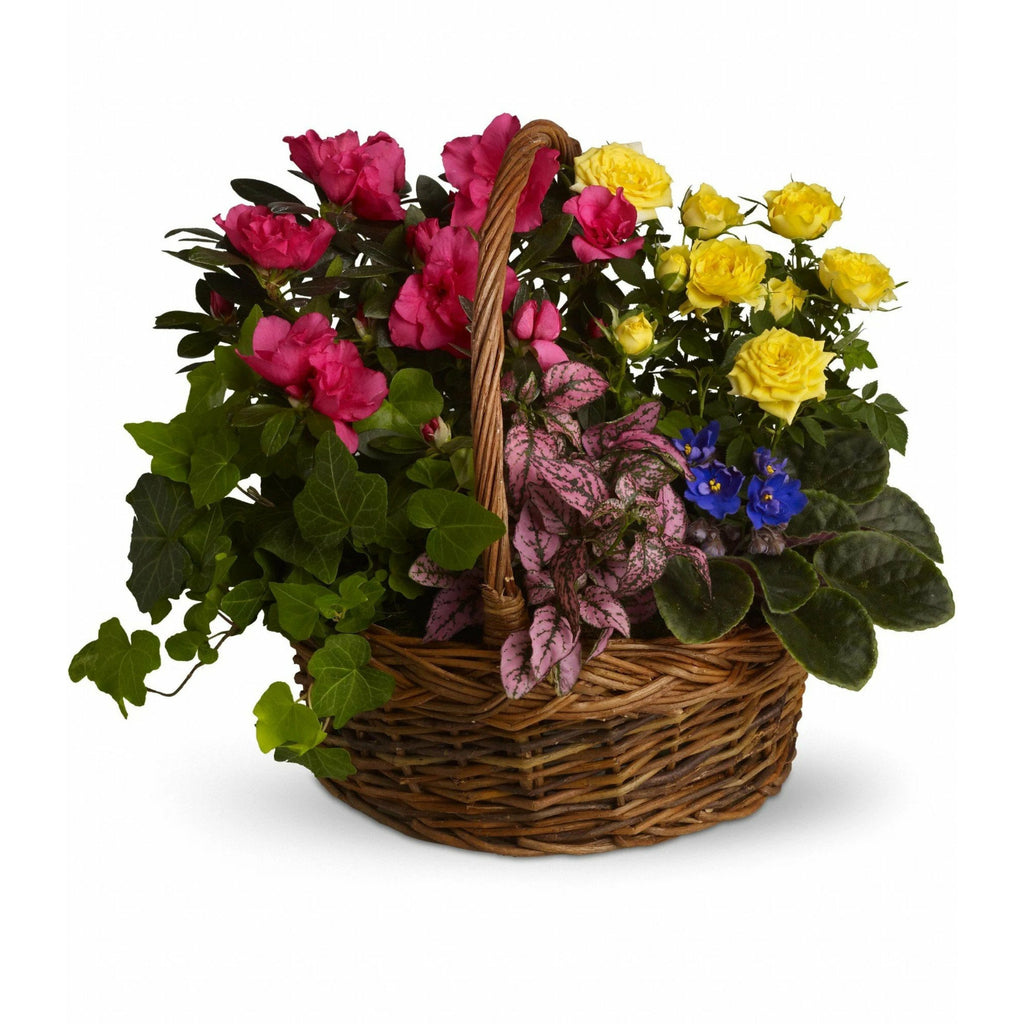 Floral Planter - Victoriana Florist Upper Hutt