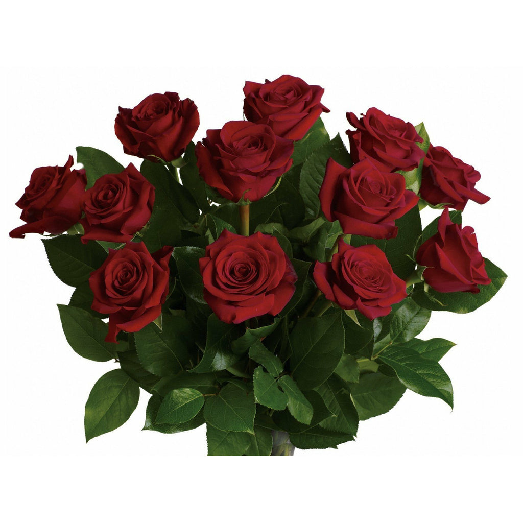 Red Roses