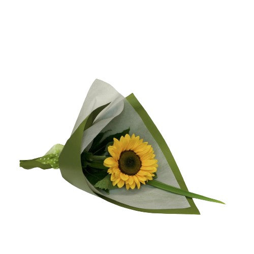 Single Flower Giftwrapped - Victoriana Florist Upper Hutt